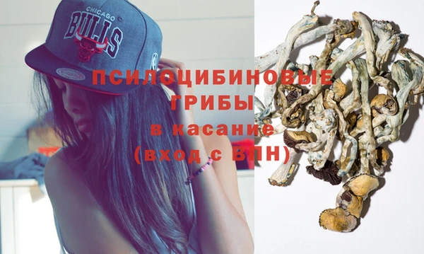 ALPHA-PVP Надым